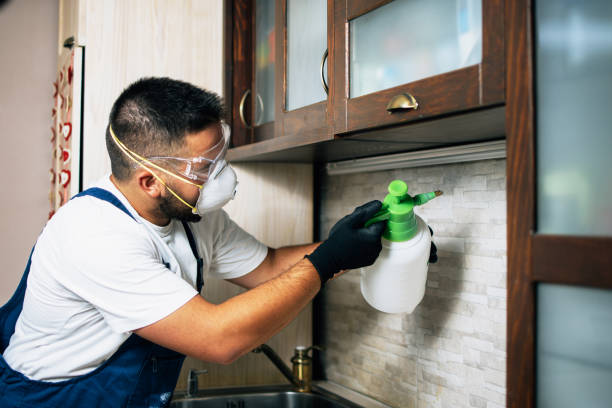Best Commercial Pest Control Services  in Mechanicsburg, PA