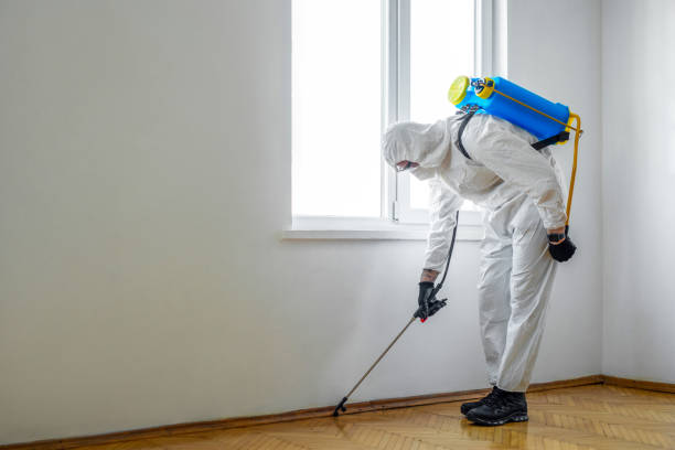 Insect Control in Mechanicsburg, PA