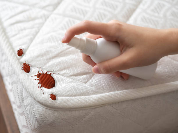 Best Pest Inspection Near Me  in Mechanicsburg, PA